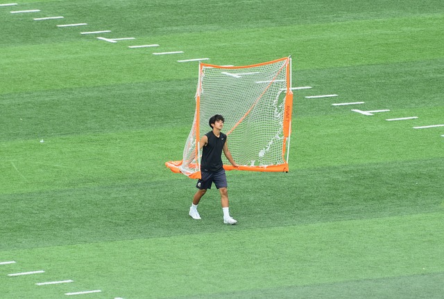 但正是凭借