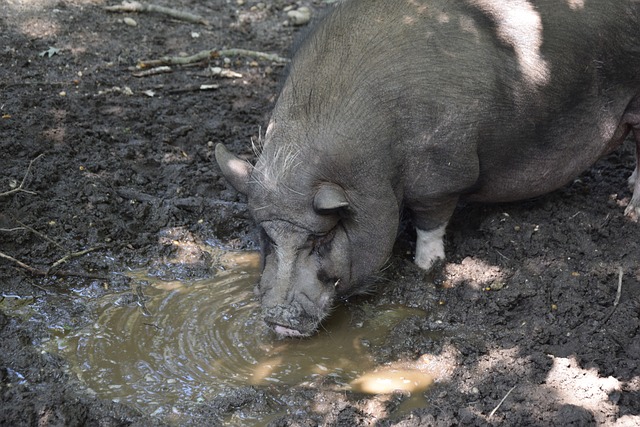访中提到 访中提到